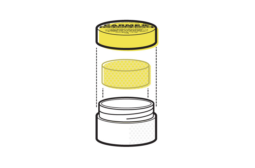 sdco_carmex_04